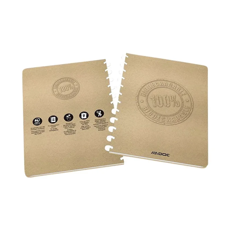 Schrift adoc bio a4 ruit 5x5mm 144pag 90gr kraft | 10 stuks von Adoc – Produktfoto