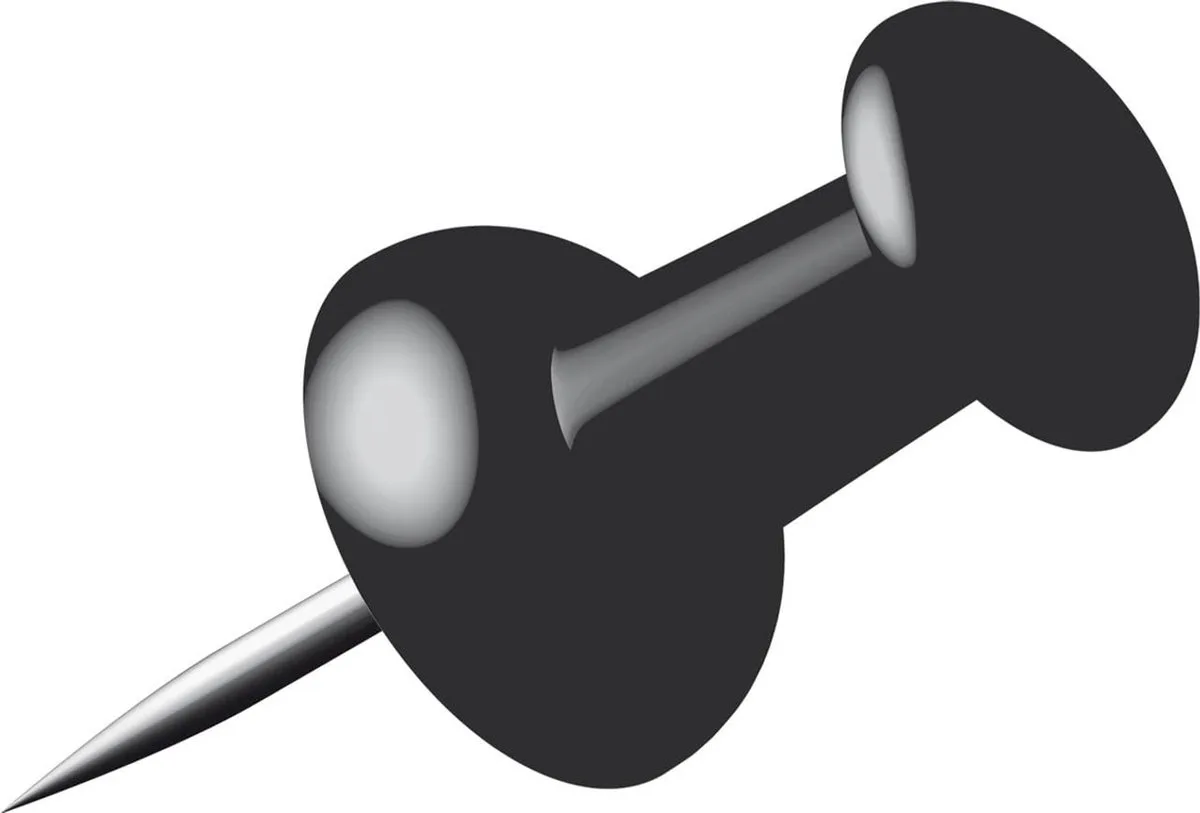 Punaises - set 80x - voor prikbord de Alco en Noir – photo produit