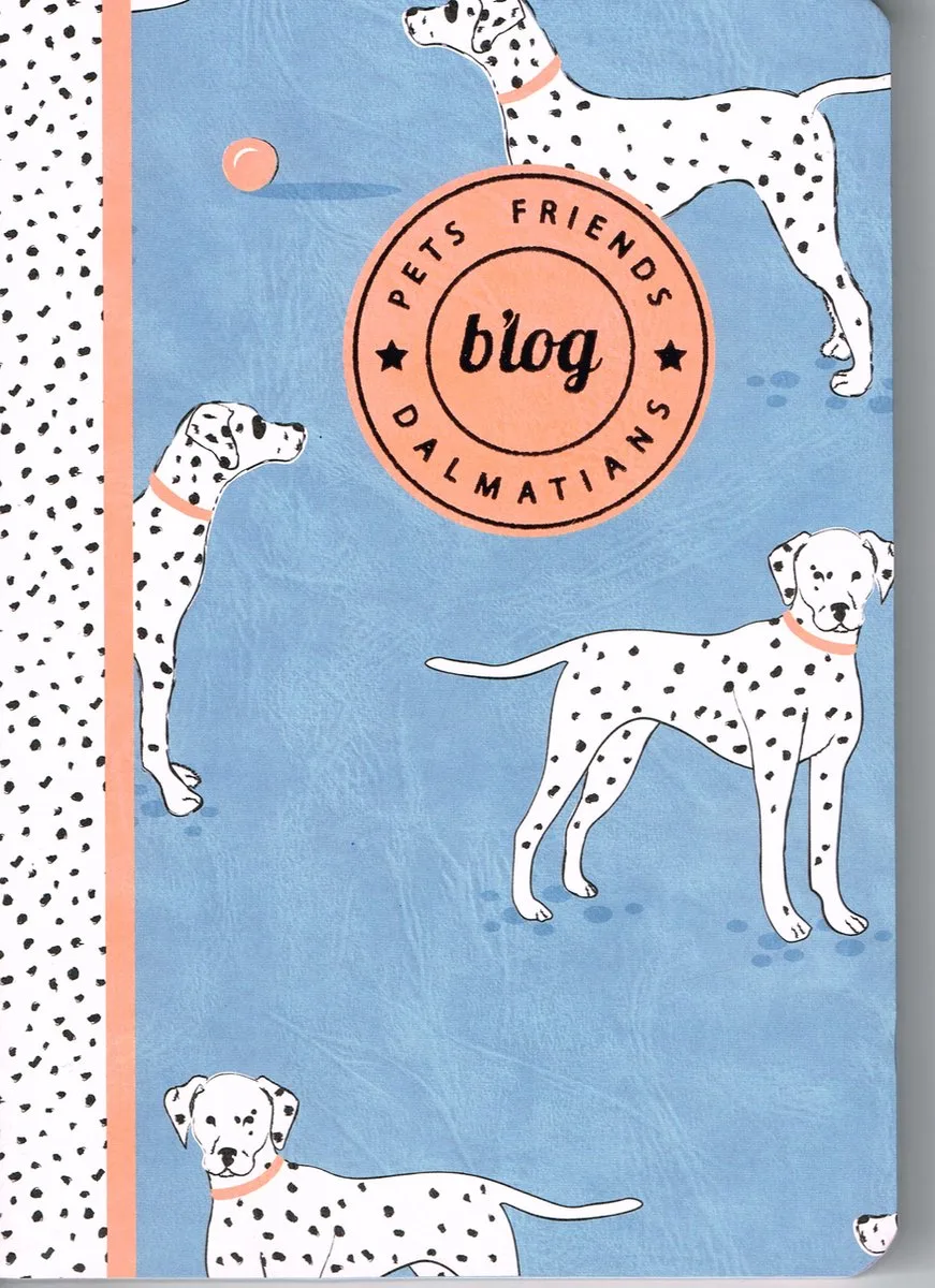 Schrift Pet Friends A5 lijn 96 bladzijden 90 gr papier in 2 varianten de Ancor en Bleu – photo produit