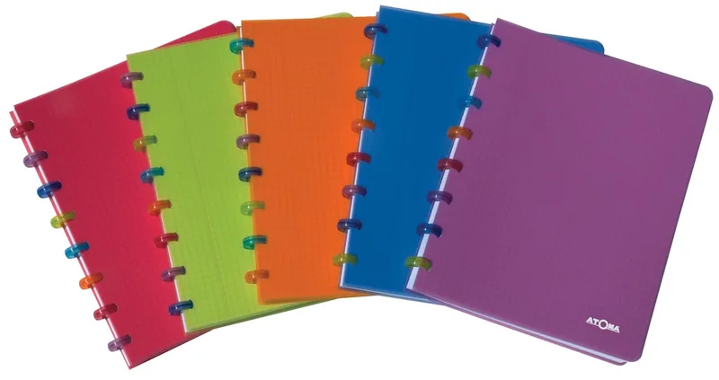 Tutti Frutti schrift, ft A4, 144 bladzijden, commercieel geruit, geassorteerde kleuren by Atoma – product photo