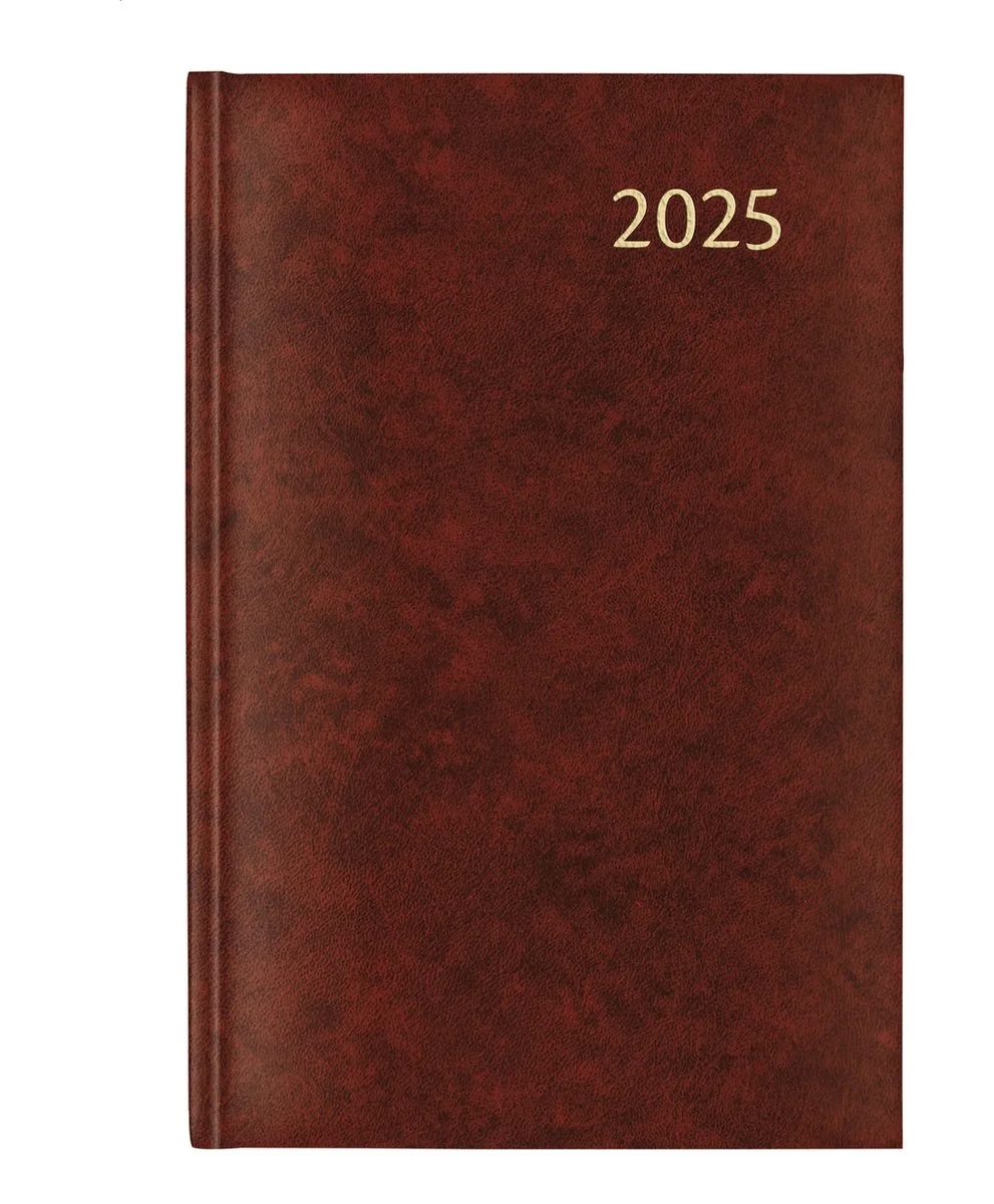 Bureau Agenda 2027 Amsterdam Daily - met 1 dag per pagina - omslag van Aurora in Rood – productfoto