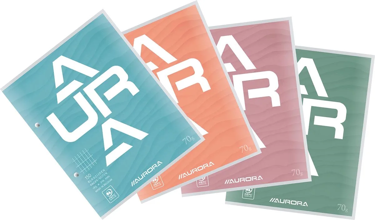 cursusblok, ft 16,5 x 21 cm, 75 vel, 2-gaatsperforatie, commercieel geruit 10 stuks von Aurora in 75 – Produktfoto