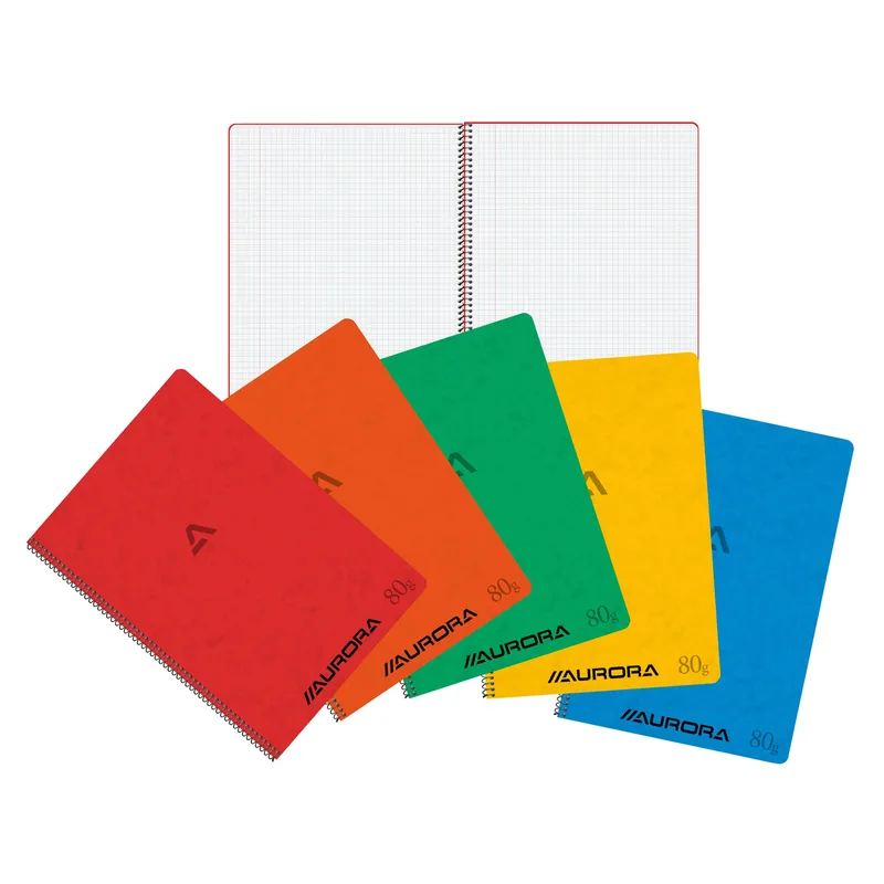 Schrift aurora a4 ruit 5x5mm 120pag 80gr ass | 10 stuks von Aurora – Produktfoto