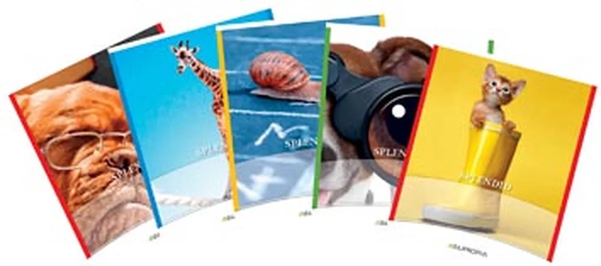 Splendid schriften 36 bladzijden 3 lijnen by Aurora in Blue – product photo