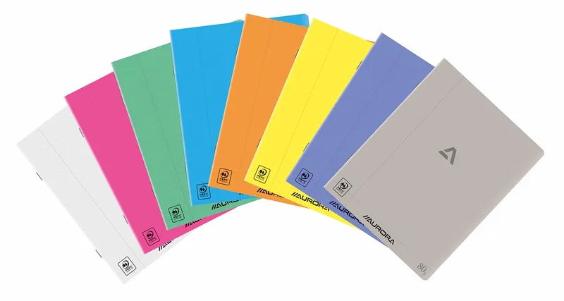 Writing 80 schrift, geniet, gelijnd + marge, 72 blz, A5, transparant PP van Aurora – productfoto