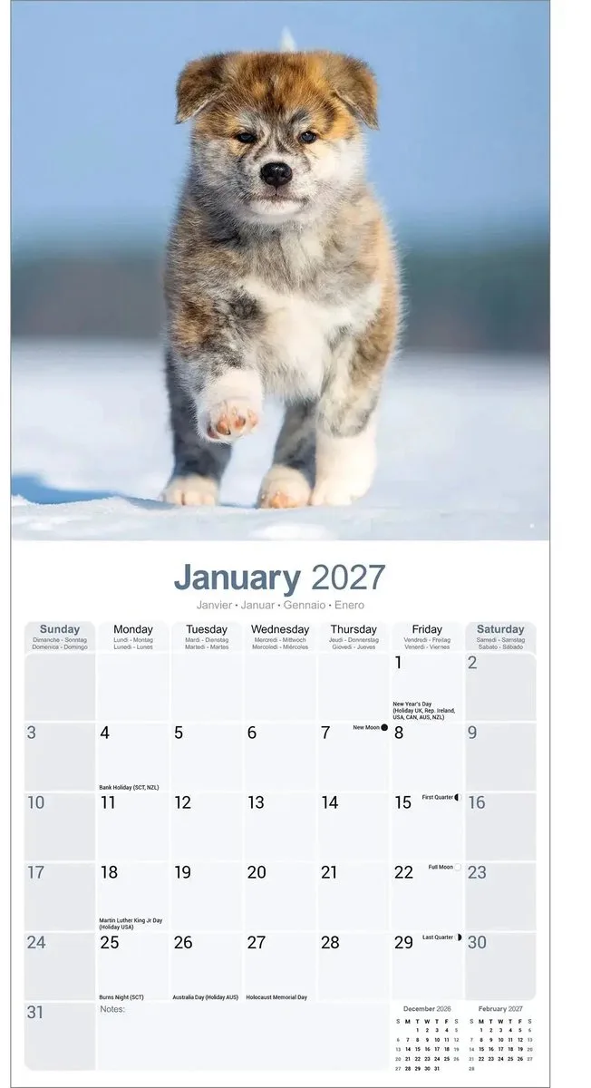 Akita Kalender 2027 fra Avonside i Flerfarvet – produktbillede