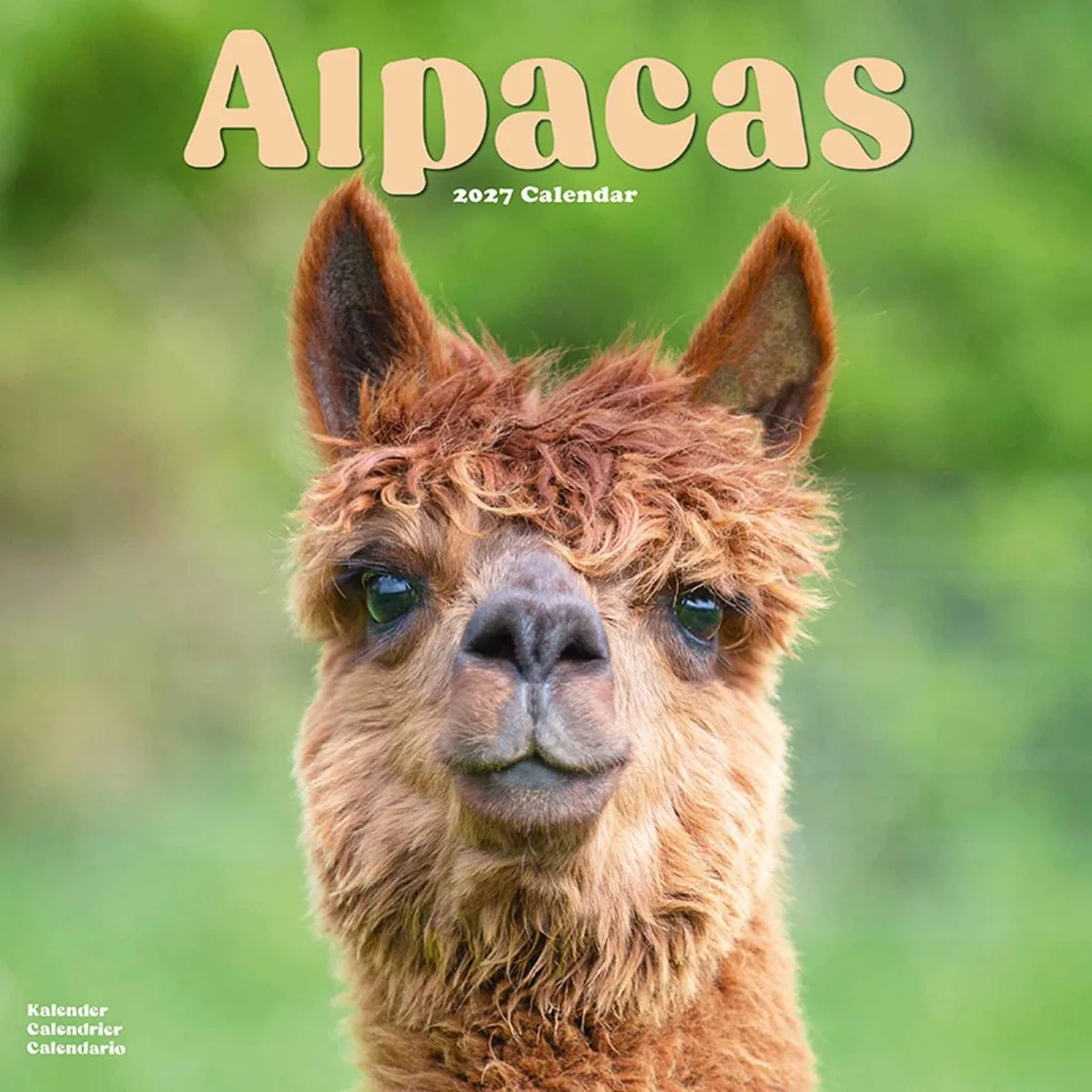 Alpaca Kalender 2027 van Avonside in Bruin – productfoto