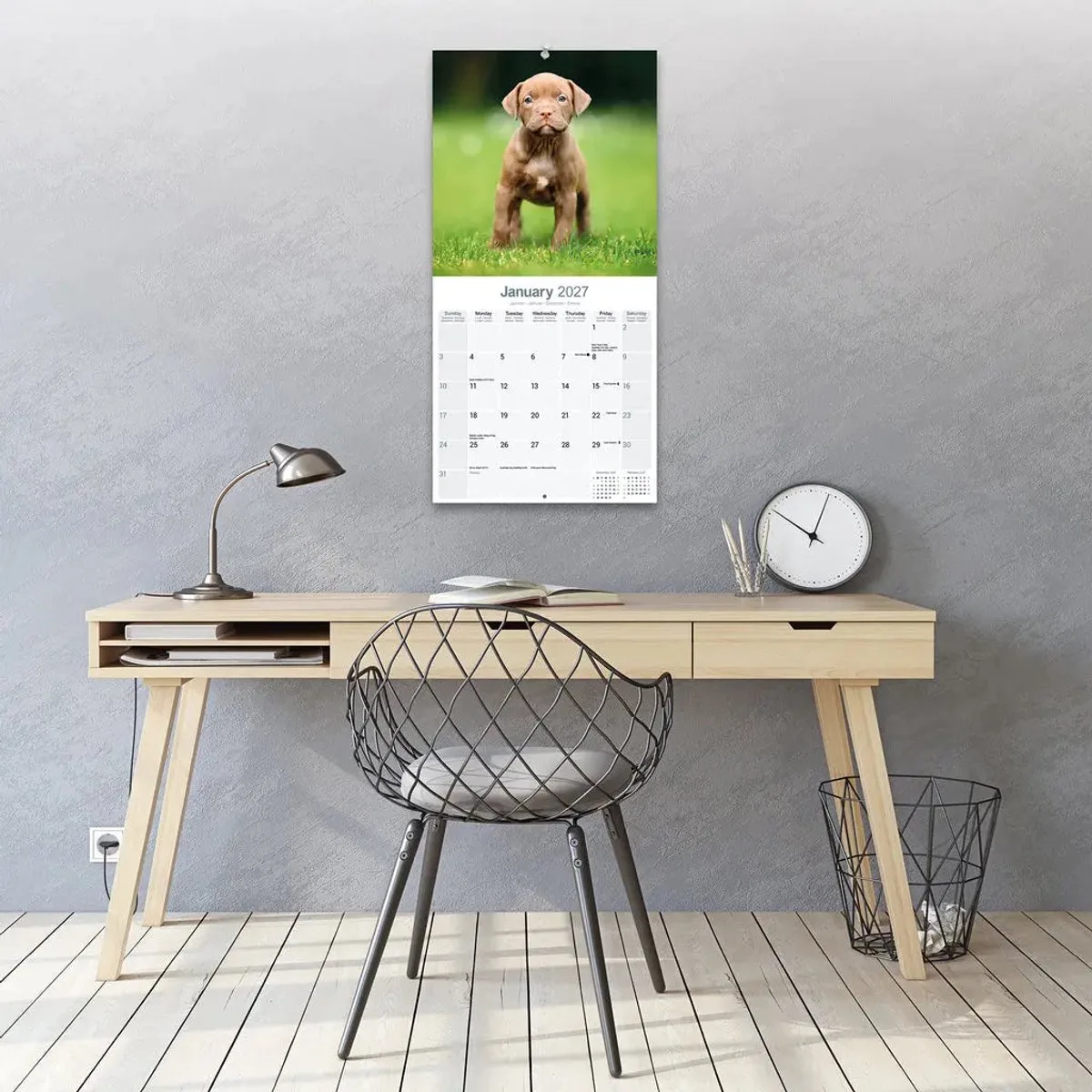 American Pit Bull Terrier Kalender 2027 fra Avonside – produktbillede