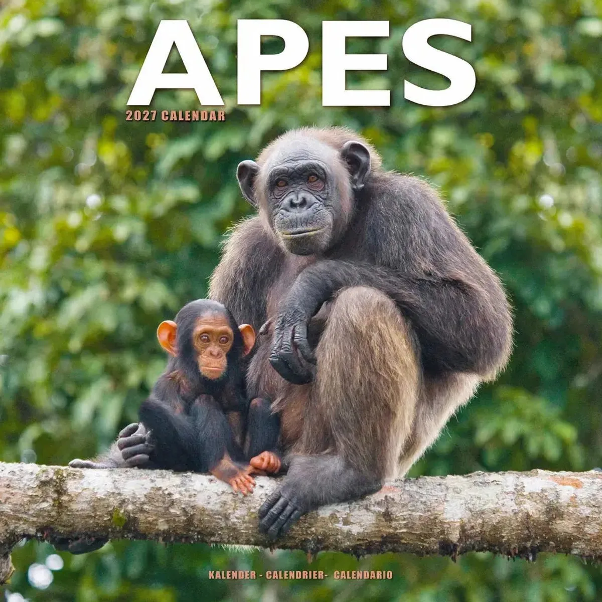 Apen Kalender 2027 de Avonside en Marron – photo produit