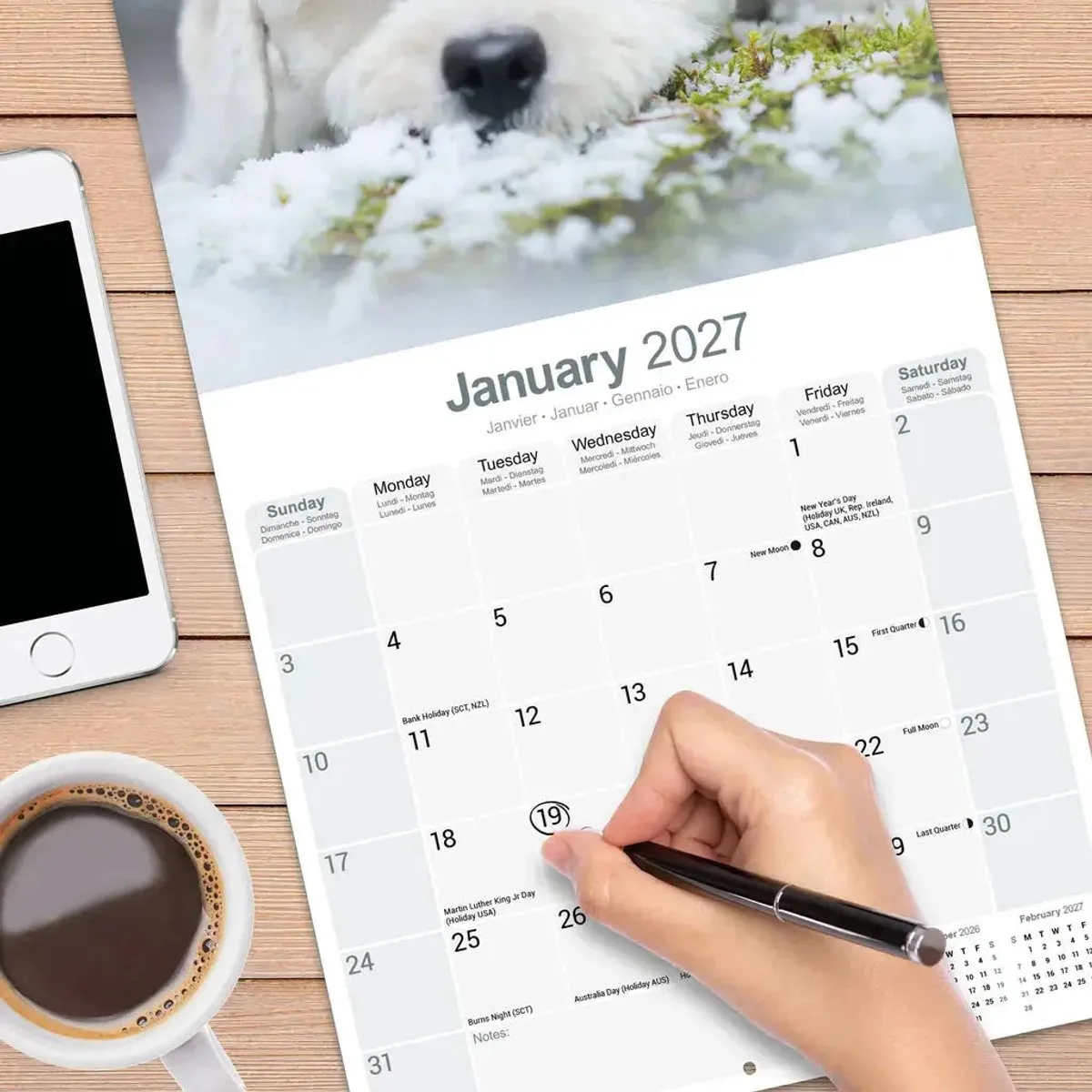 Bichon Frise Kalender 2027 fra Avonside i Flerfarvet – produktbillede