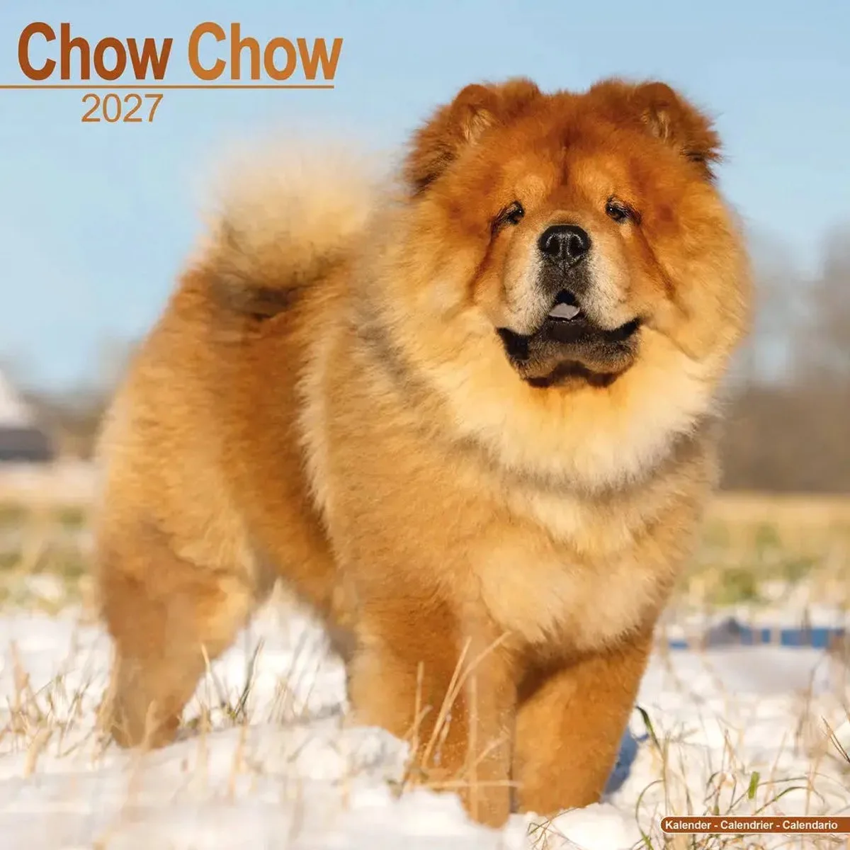 Chow Chow Kalender 2027 fra Avonside i Blå – produktbillede