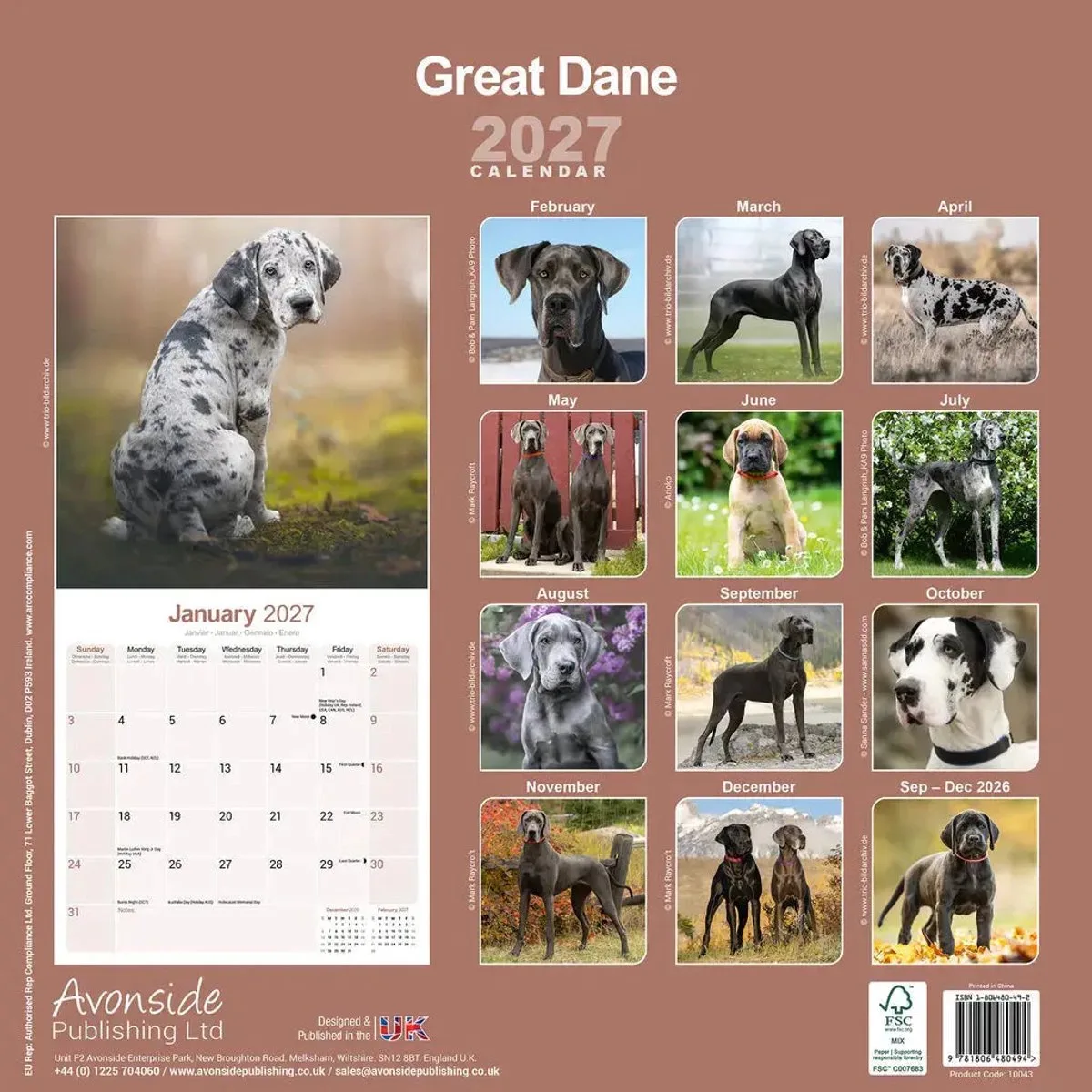Duitse Dog Kalender 2027 fra Avonside – produktbillede