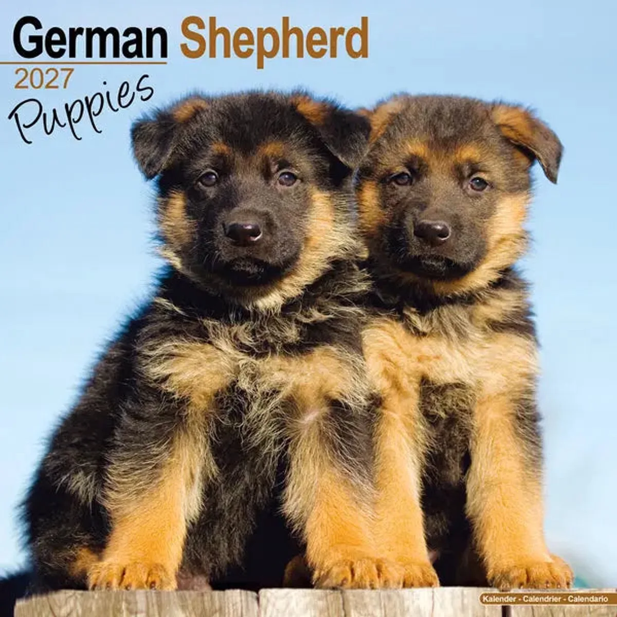 Duitse Herder Puppies Kalender 2027 fra Avonside – produktbillede