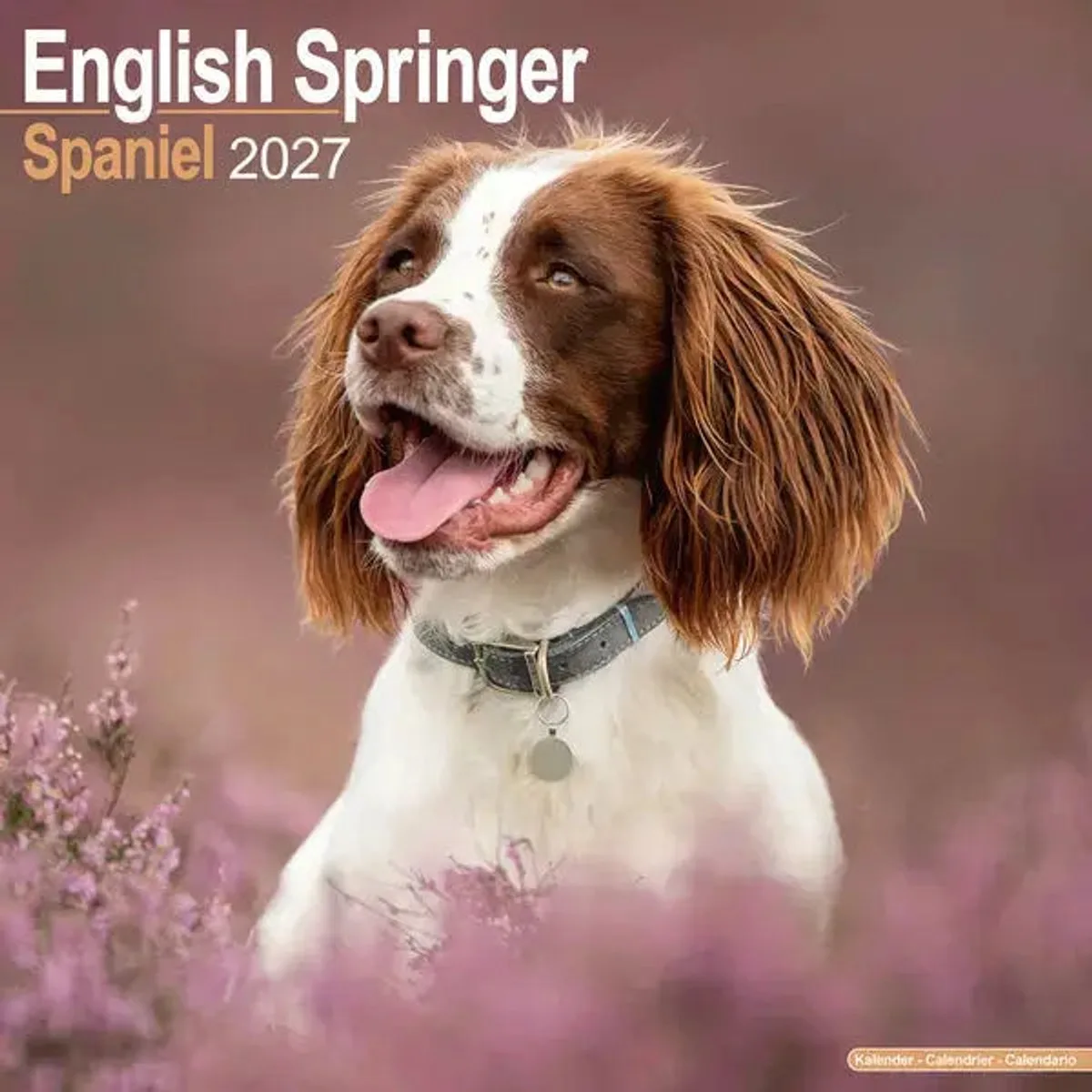 Engelse Springer Spaniel Kalender 2027 fra Avonside i Hvid – produktbillede