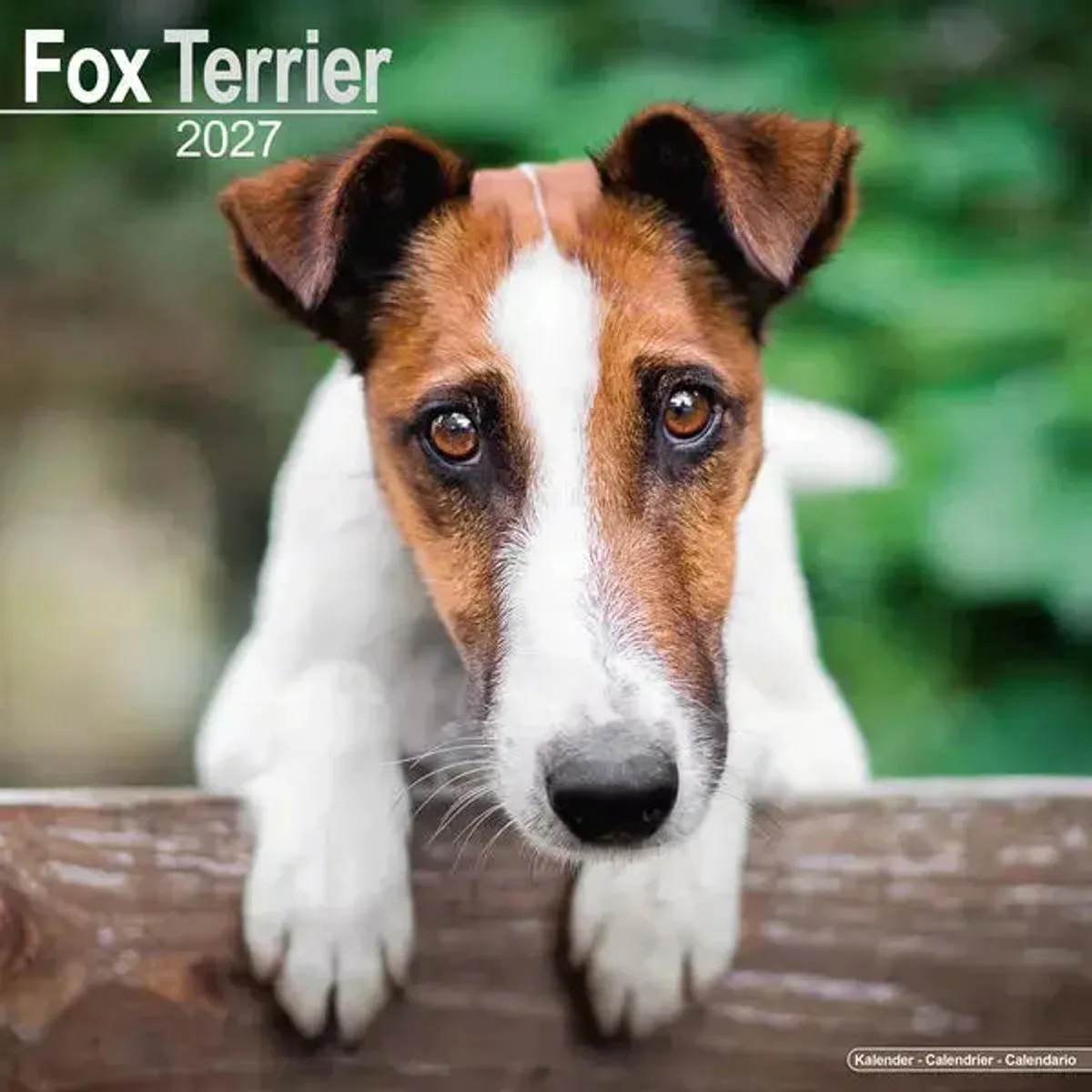 Fox Terrier Kalender 2027 fra Avonside i Brun – produktbillede