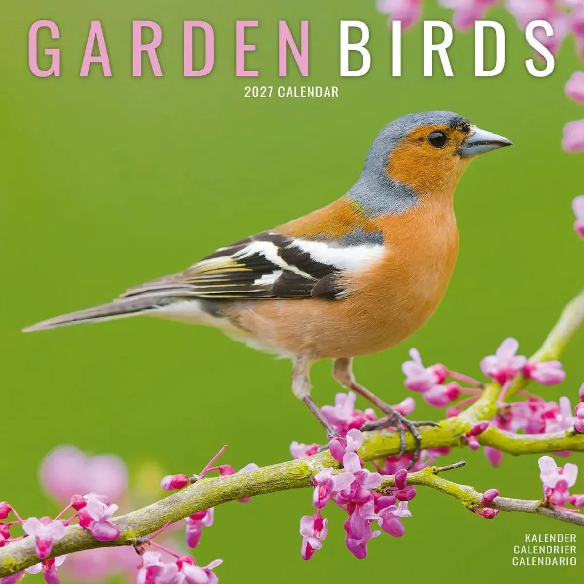 Garden Birds Kalender 2027 fra Avonside i Lyserød – produktbillede