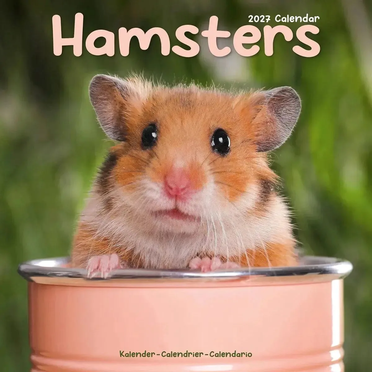 Hamster Kalender 2027 fra Avonside i Brun – produktbillede