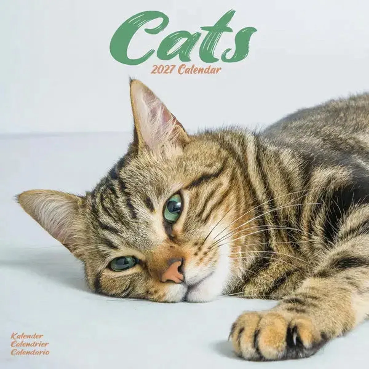 Katten Kalender 2027 fra Avonside i Hvid – produktbillede
