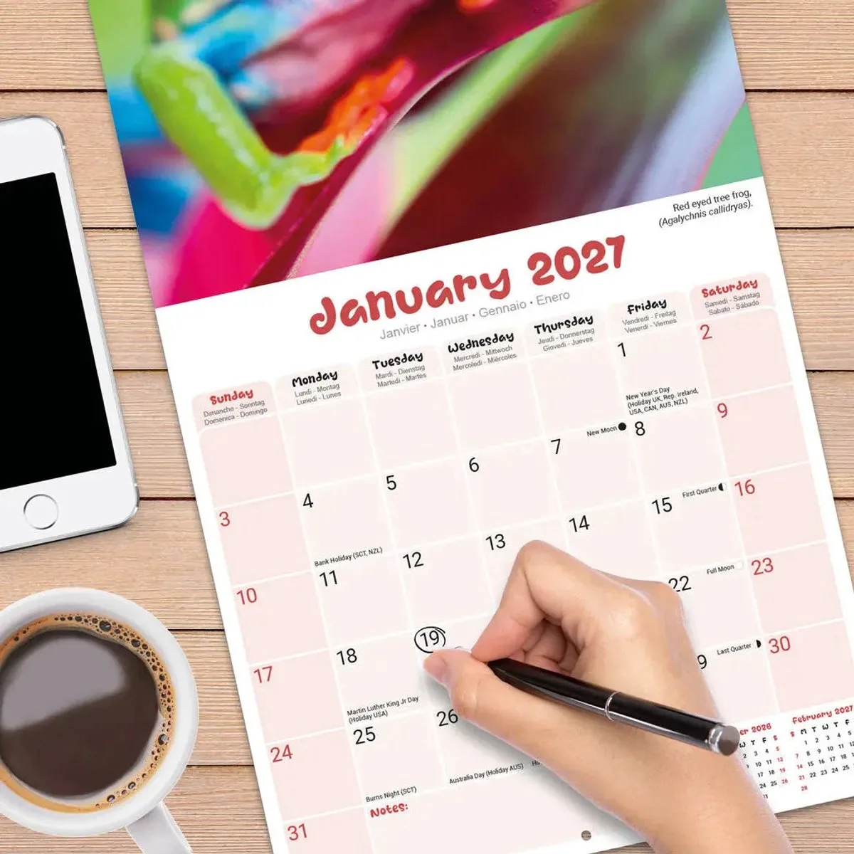 Kikker Kalender 2027 fra Avonside i Grøn – produktbillede