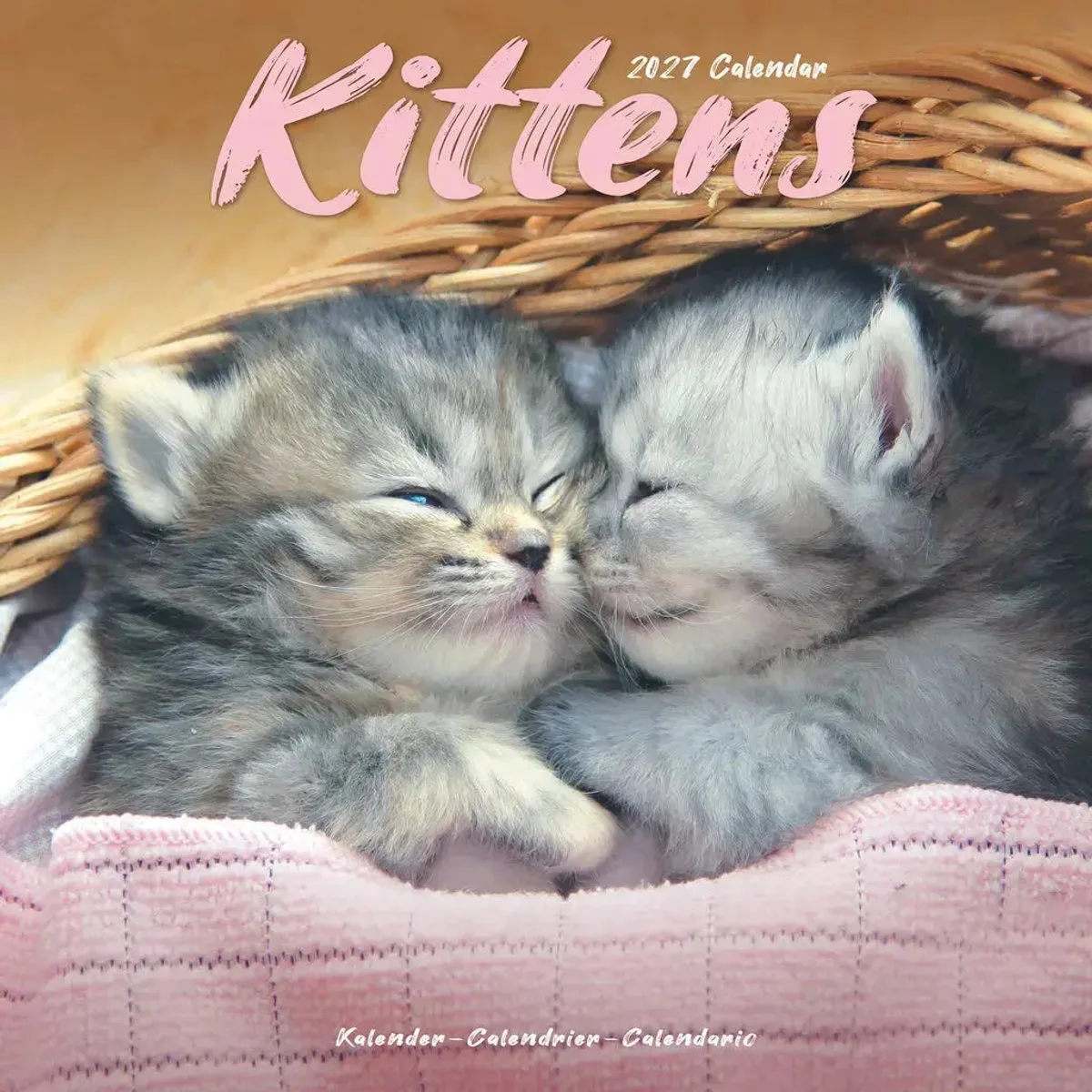 Kittens Kalender 2027 fra Avonside i Grå – produktbillede
