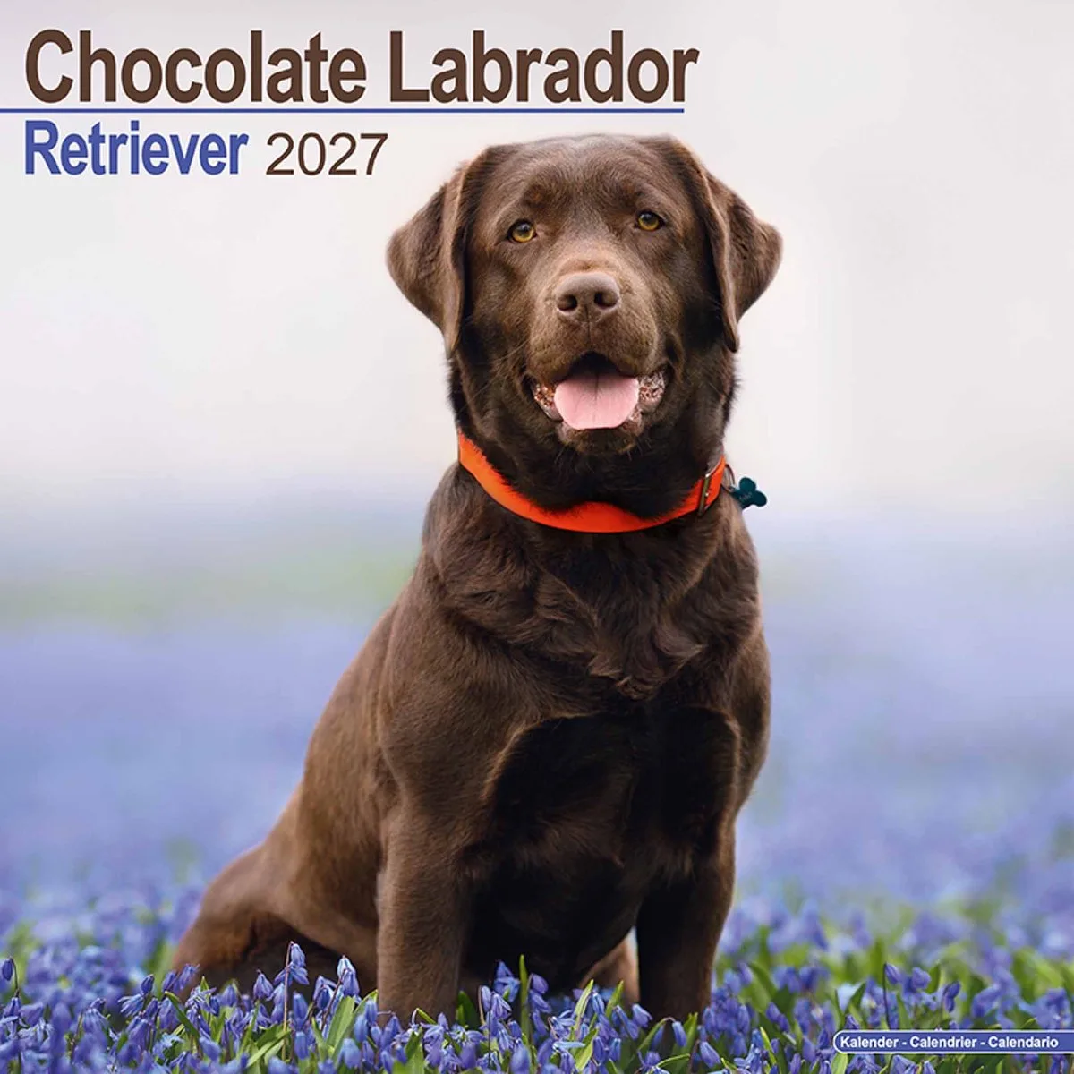 Labrador Retriever Kalender 2027 de Avonside en Marron – photo produit