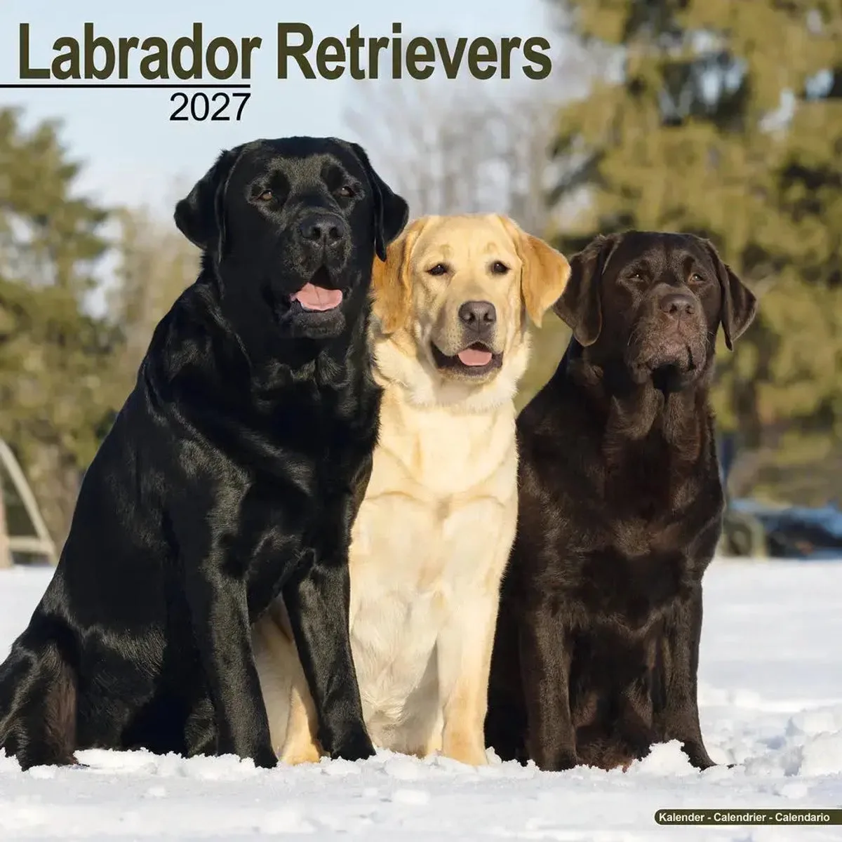 Labrador Retriever Mixed Kalender 2027 de Avonside en Rustgevende kleuren – photo produit