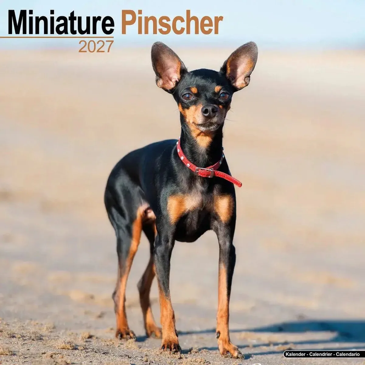 Miniatuur Pinscher Kalender 2027 fra Avonside i Flerfarvet – produktbillede