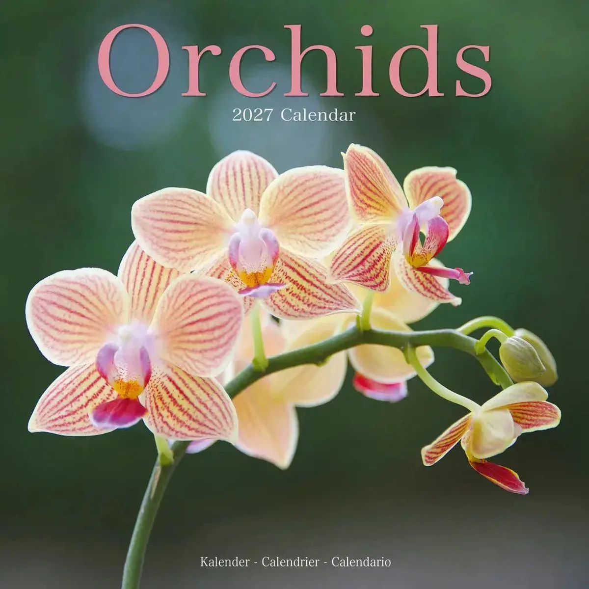 Orchidee Kalender 2027 de Avonside en Orchid – photo produit