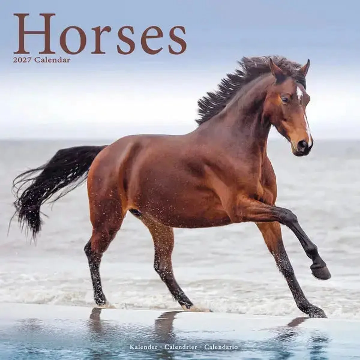 Paarden Kalender 2027 van Avonside in Bruin – productfoto