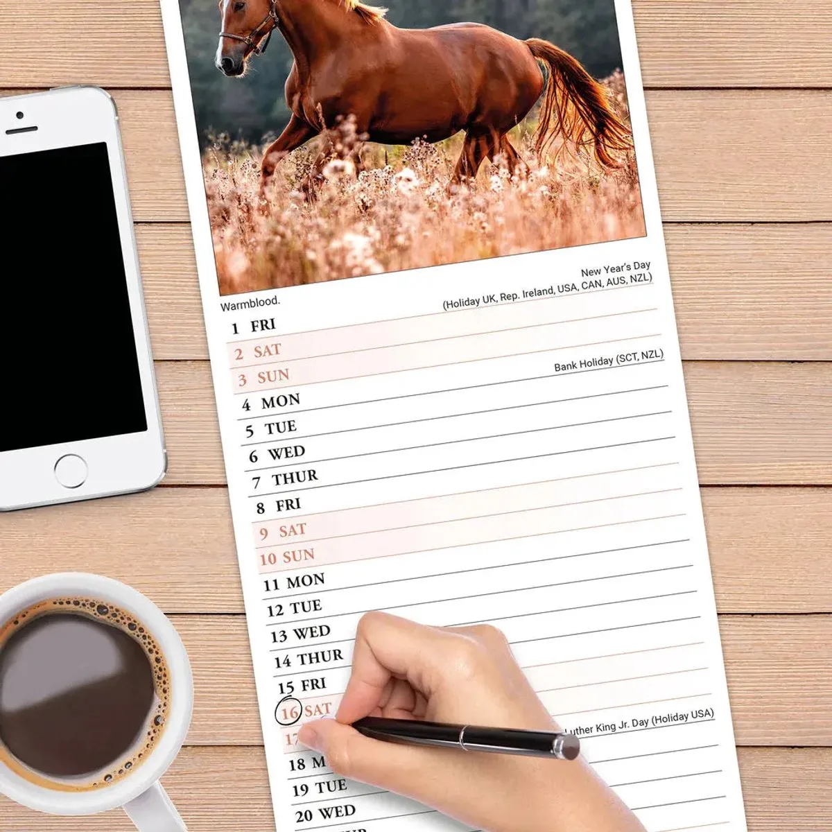 Paarden Kalender 2027 Slimline fra Avonside – produktbillede