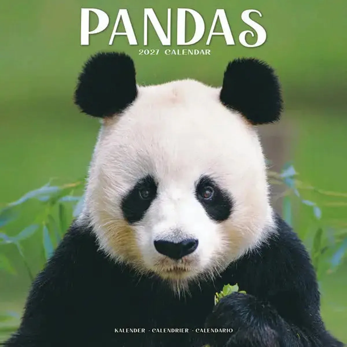 Panda Kalender 2027 fra Avonside i Hvid – produktbillede