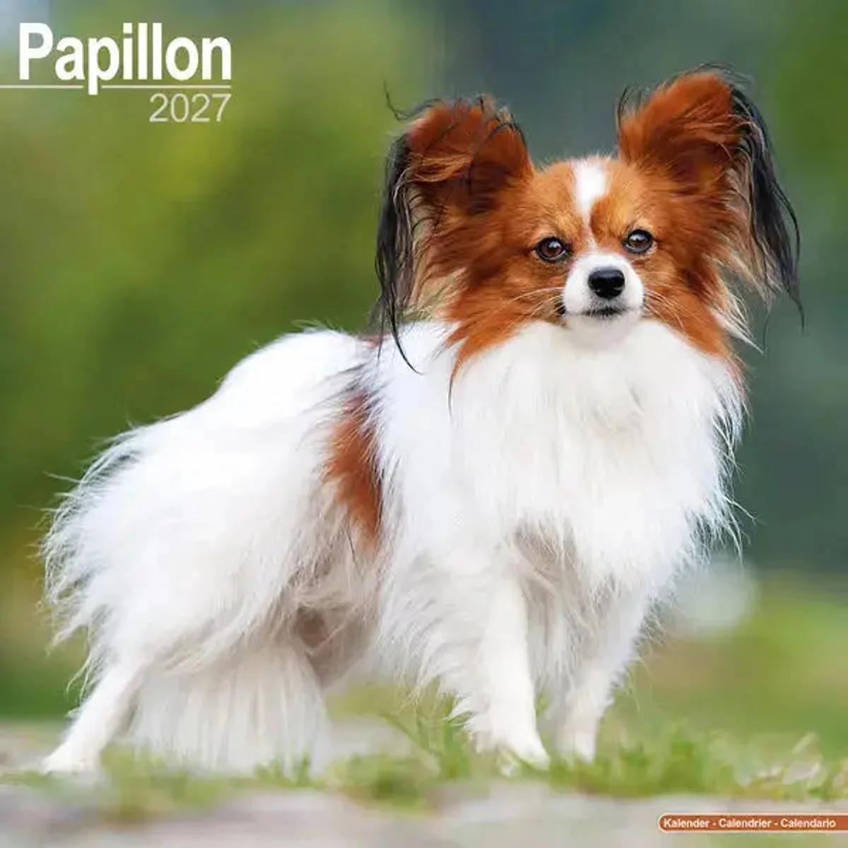 Papillon Kalender 2027 de Avonside en Marron – photo produit