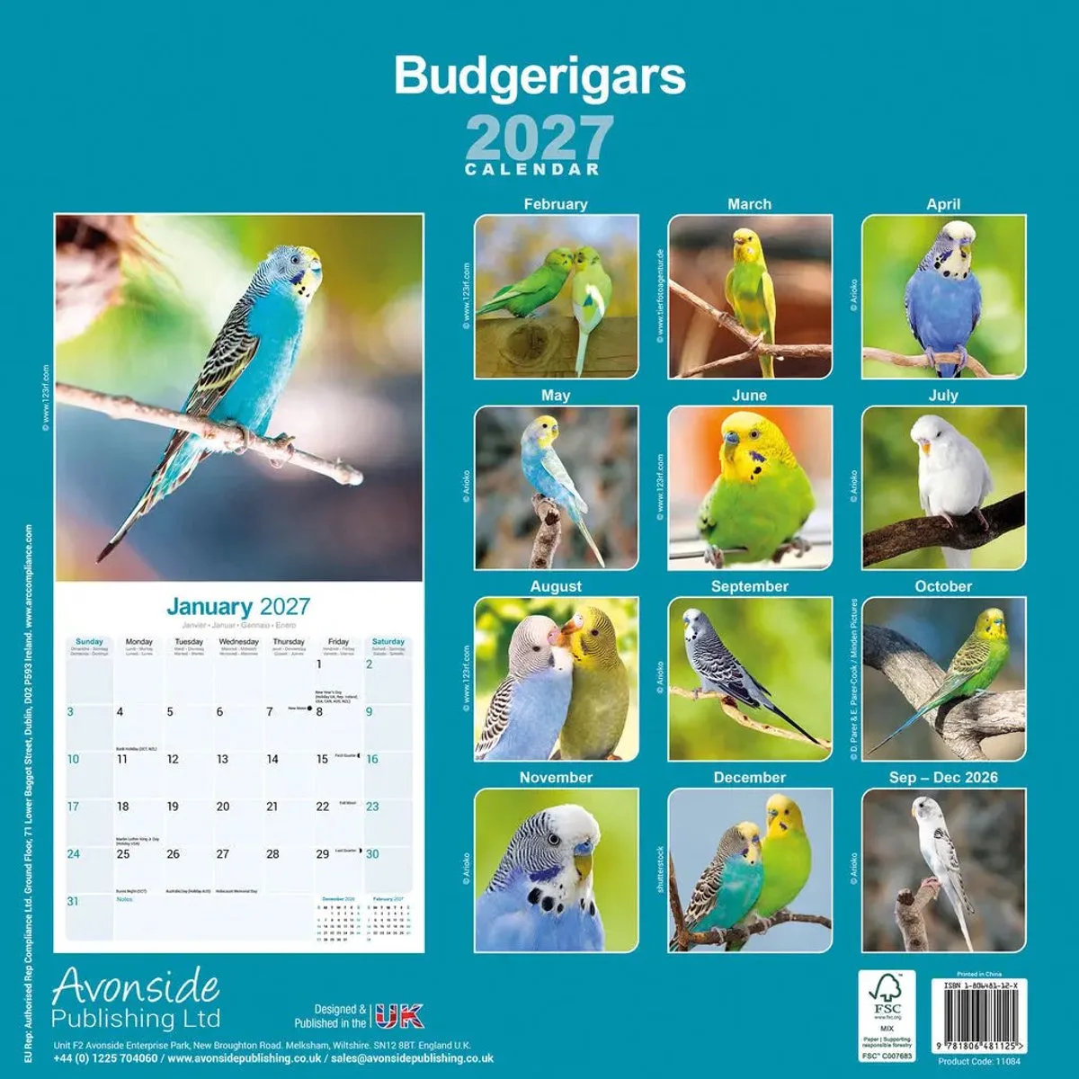 Parkieten Kalender 2027 fra Avonside i Hvid – produktbillede
