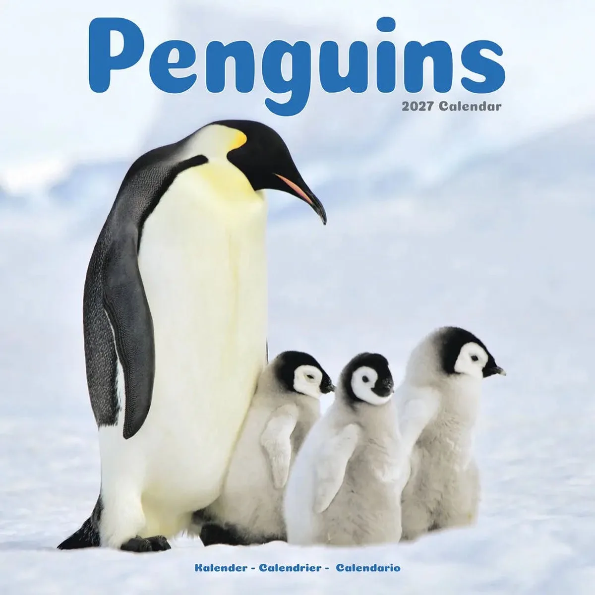 Pinguin Kalender 2027 fra Avonside – produktbillede