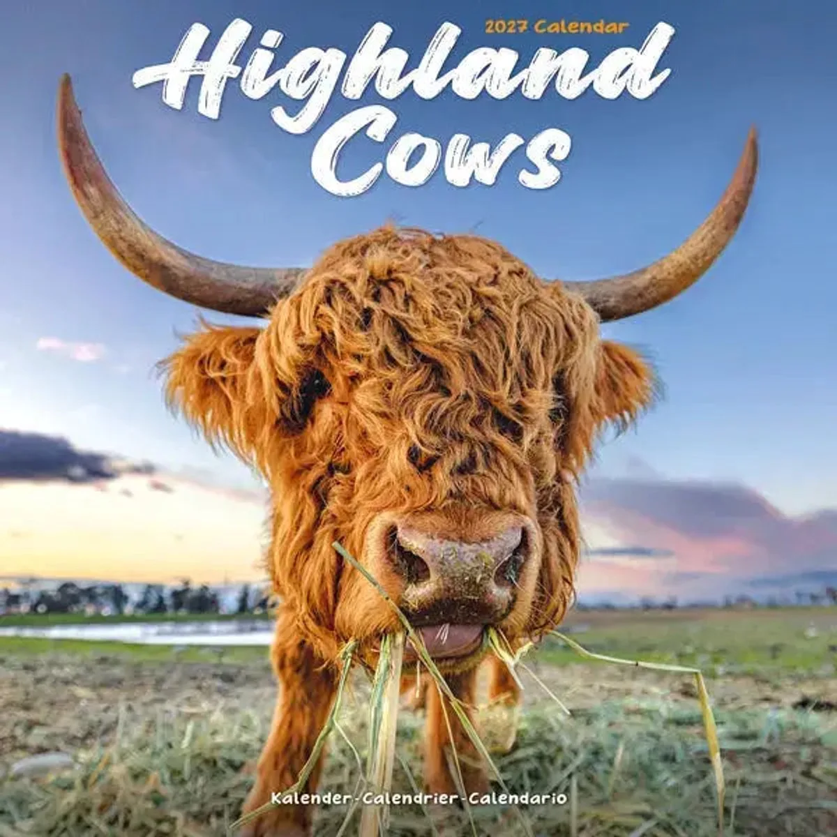 Schotse Hooglanders Kalender 2027 fra Avonside i Brun – produktbillede