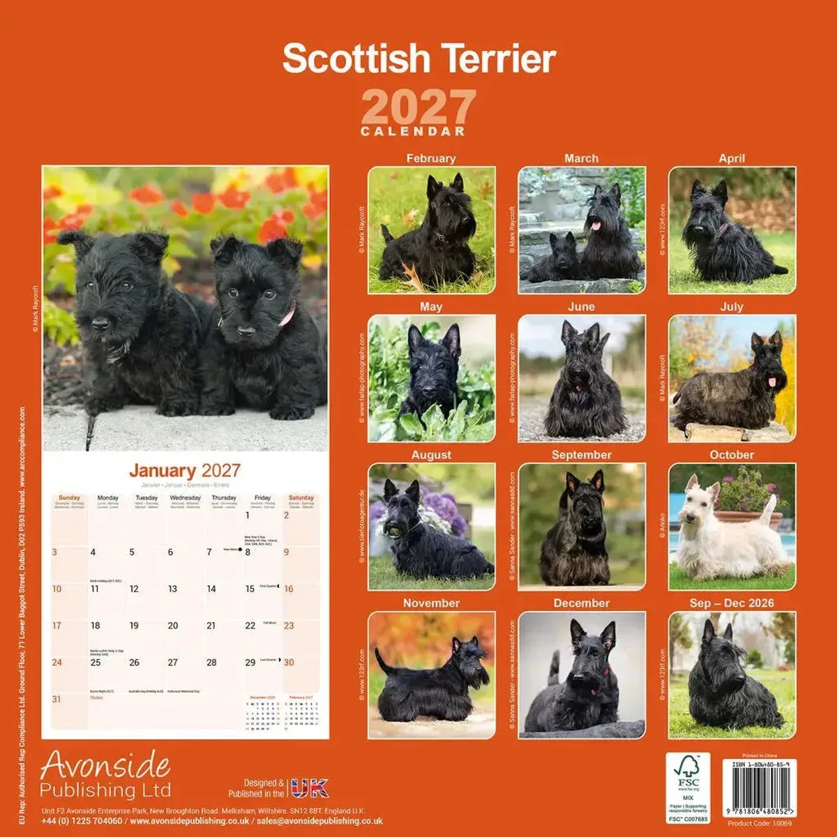 Schotse Terrier Kalender 2027 fra Avonside i Flerfarvet – produktbillede