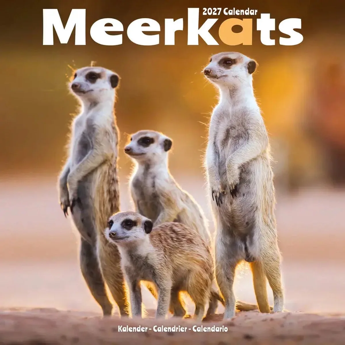 Stokstaartjes Kalender 2027 de Avonside en Marron – photo produit