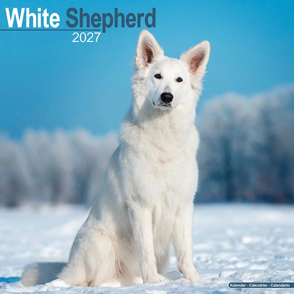 Witte Herder Kalender 2027 by Avonside in Blue – product photo