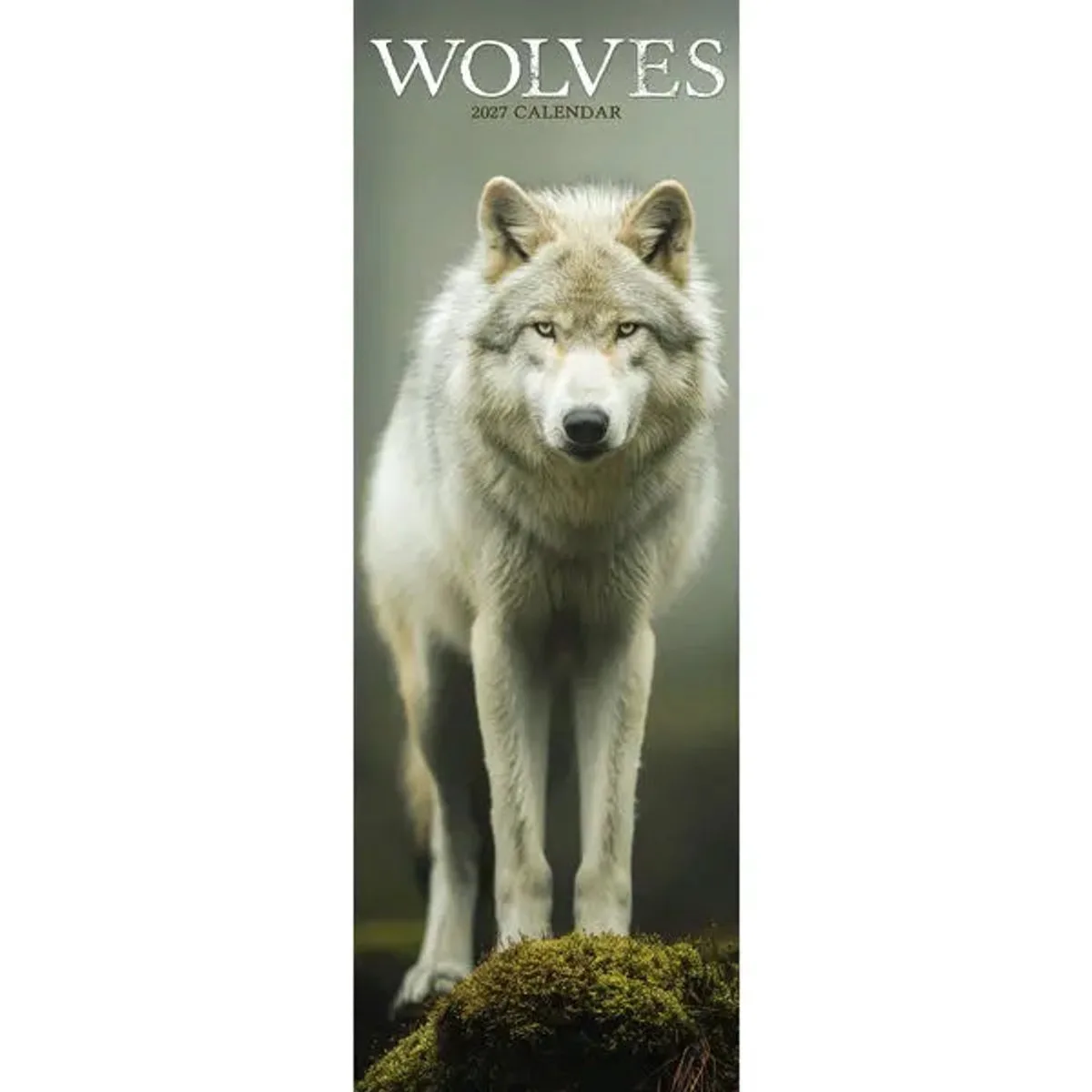 Wolven Kalender 2027 Slimline fra Avonside i Flerfarvet – produktbillede