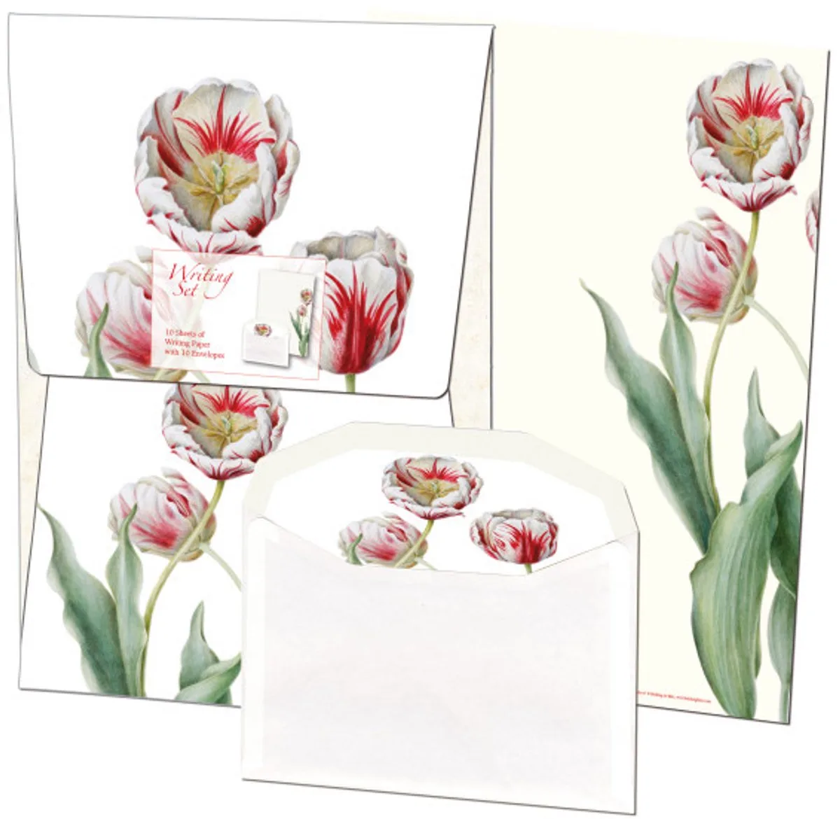 Briefpapier met Enveloppen – Tulipa 'Teyler', Anita Walsmit Sachs van Bekking & Blitz in Roze – productfoto