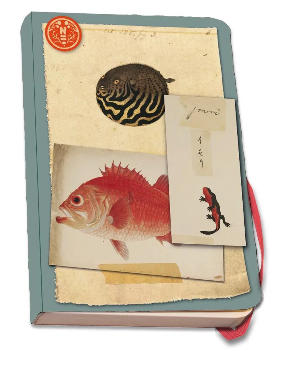 Notitieboek A5, zachte kaft: Vissen, Naturalis Biodiversity Center fra Bekking & Blitz i Flerfarvet – produktbillede