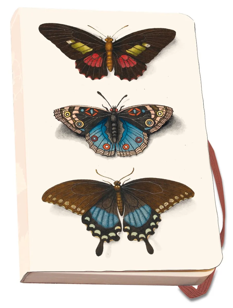 Notitieboek A6 - Luxe uitvoering - Kunst - Zachte kaft - Vlinders - Butterflies - Joseph Jakob von Plenck - The Fitzwilliam Museum Cambridge - Uniek design fra Bekking & Blitz i Flerfarvet – produktbillede