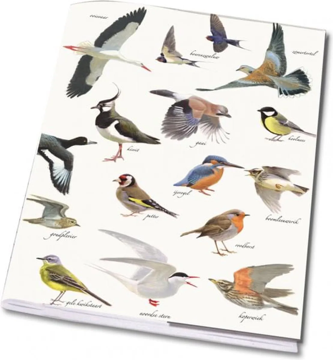 Schrift A5: Collage vogels, Elwin van der Kolk, Vogelbescherming Nederland fra Bekking & Blitz i Collage vogels, Elwin van der Kolk, Vogelbescherming Nederland – produktbillede