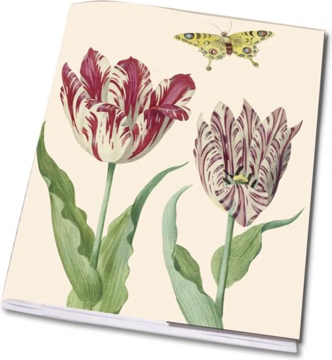 Schrift A5: Tulpen/Tulips, Jacob Marrel, Collection Rijksmuseum Amsterdam fra Bekking & Blitz i Tulpen, Tulips, Jacob Marrel, Collection Rijksmuseum Amsterdam – produktbillede