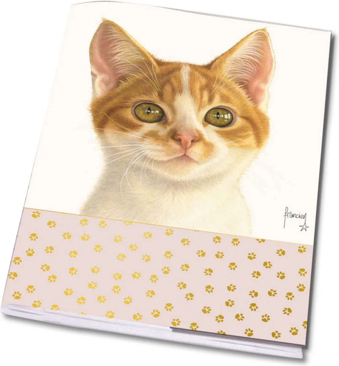 Set van 3 schriften Franciens katten, Francien van Westering de Bekking & Blitz en Rose – photo produit