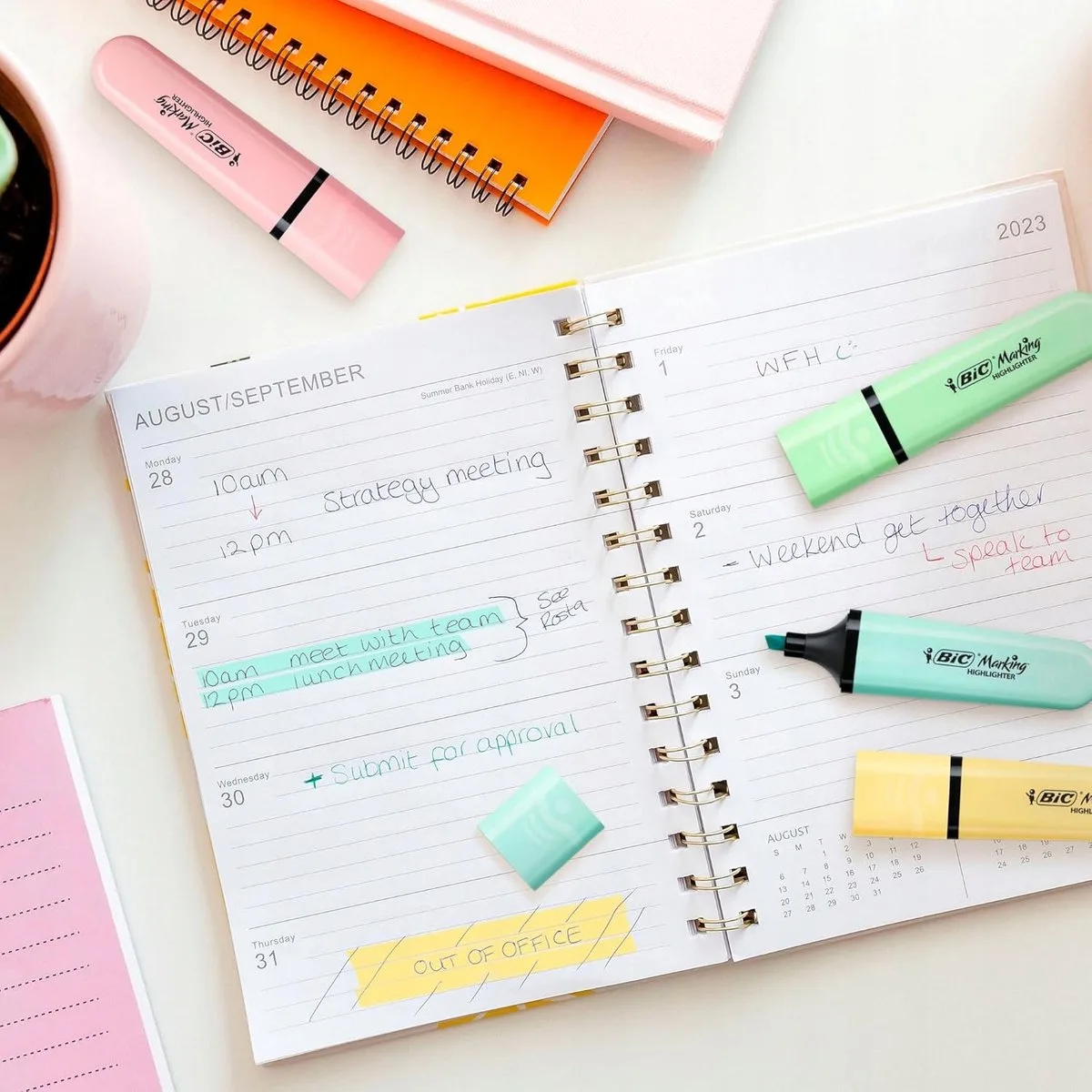 Pastel Markeerstift met Schuine Punt - School & Kantoor de BIC en Rose – photo produit