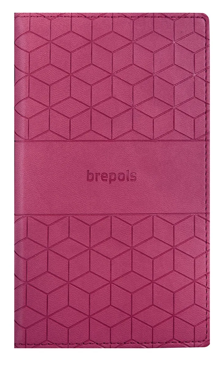 agenda 2026-2027 - Interplan CUBE - Schoolagenda - 16 maanden - 1 week op 2 pagina's - 9 x 16 cm de Brepols en Rose – photo produit