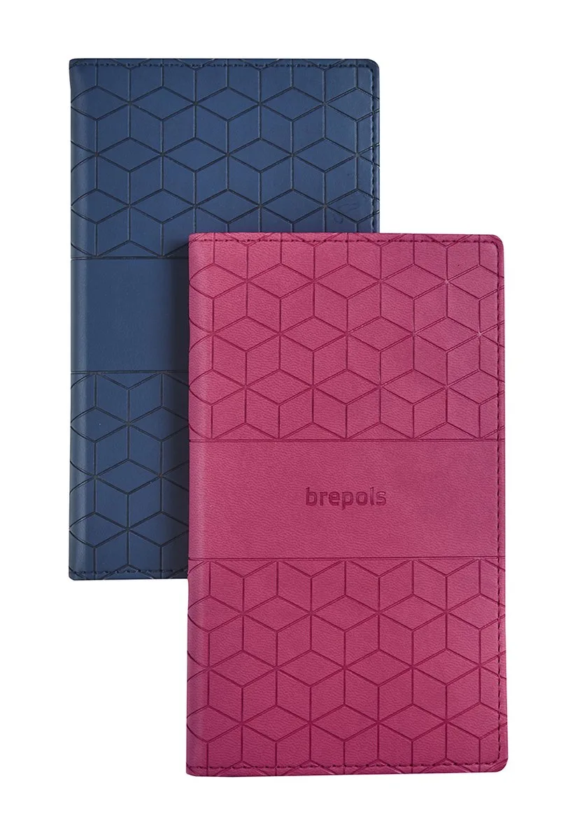 agenda 2026 - INTERPLAN [0.736] - CUBE + ABC - 1 week op 2 pagina's - Weekoverzicht - Gespiraleerd - 9 x 16 cm van Brepols in Roze – productfoto