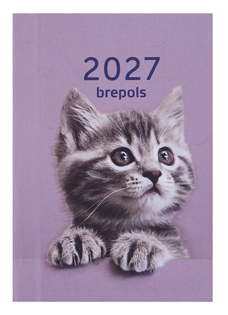 agenda 2027 - ARMADA [0.913] - AMICI - Zakagenda - 1 week op 2 pagina's - Weekoverzicht - 7.1 x 10.2 cm/Klein formaat!! de Brepols en Violet – photo produit