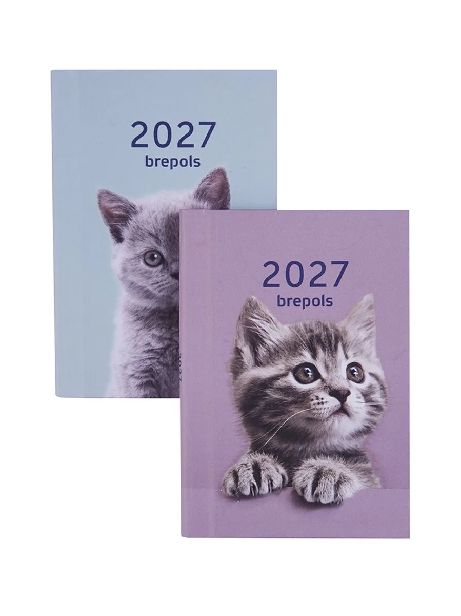 agenda 2027 - ARMADA [0.913] - AMICI - Zakagenda - 1 week op 2 pagina's - Weekoverzicht - 7.1 x 10.2 cm/Klein formaat!! från Brepols i Blå – produktbild